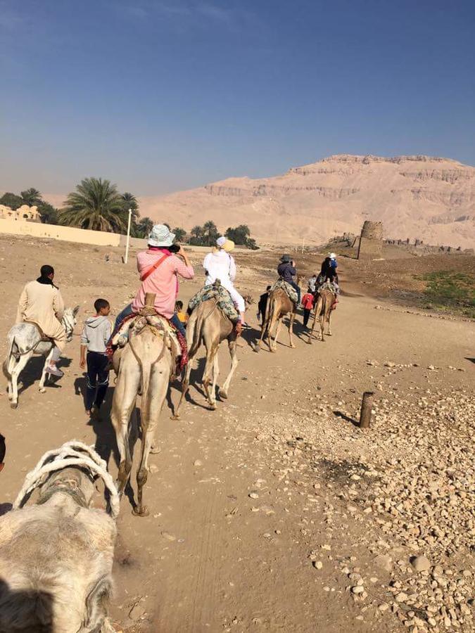 Luxor Light Retreat Ξενοδοχείο Εξωτερικό φωτογραφία