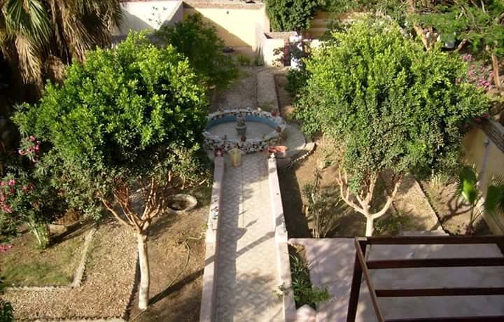 Luxor Light Retreat Ξενοδοχείο Εξωτερικό φωτογραφία